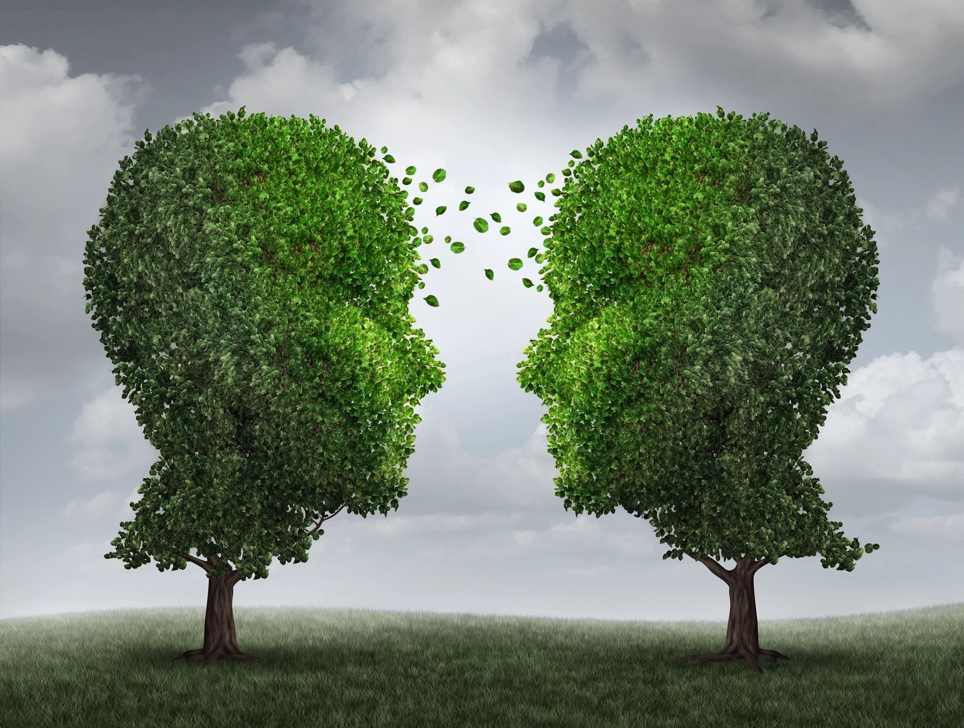 Two trees with leaves coming out of the tops.